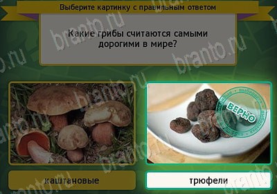 ответы на игру Выбирайка в одноклассниках Уровень 7771