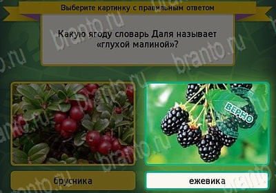Выбирайка игра ответы Уровень 7783