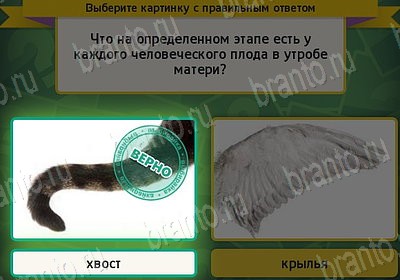 Игра Выбирайка ответы Уровень 7787