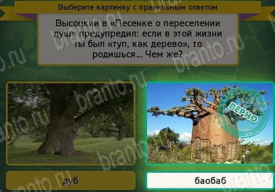 Выбирайка решения Уровень 7792