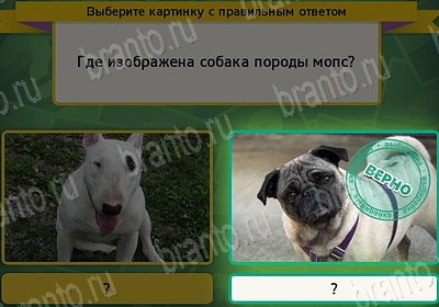 Игра Выбирайка Мой мир ответы Уровень 7797