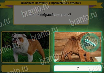 Подсказки на игру Выбирайка Уровень 7802