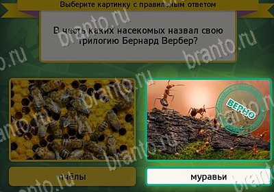 Игра Выбирайка подсказки Уровень 7818