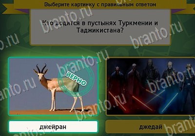 игра Выбирайка ВК помощь Уровень 7829