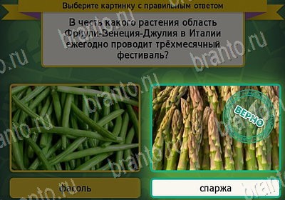 игра Выбирайка ответ на Уровень 7840