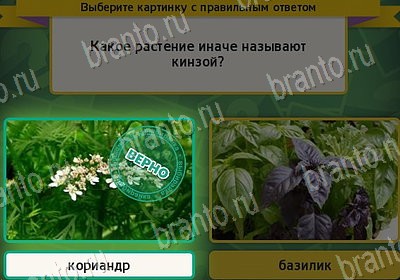 Выбирайка ответы в картинках Уровень 7856