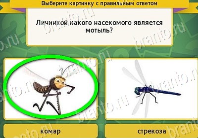 Помощь на игру ВК Выбирайка Уровень 7864