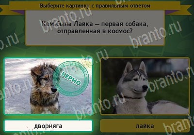 Выбирайка подсказки в контакте Уровень 7869