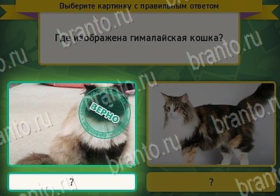 Выбирайка игра ответы Уровень 7873
