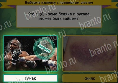 Выбирайка игра подсказки Уровень 7874