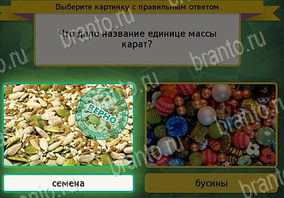 Выбирайка ответы в картинках Уровень 7876