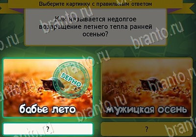 ответы на игру Выбирайка в одноклассниках Уровень 7891