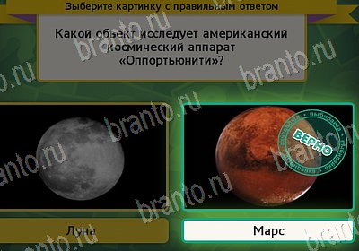 Выбирайка игра ответы Уровень 7903