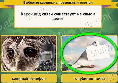 Выбирайка игра подсказки Уровень 7904