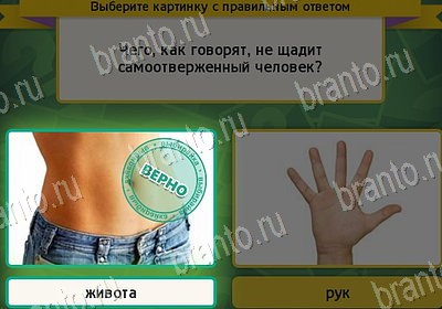 игра Выбирайка помощь Уровень 7909