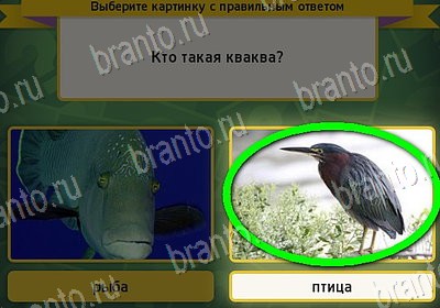 решебник на игру Выбирайка Уровень 7911