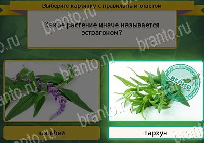 Выбирайка игра помощь Уровень 7915