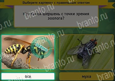 Выбирайка подсказки в контакте Уровень 7929