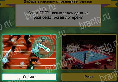 решебник на игру Выбирайка Уровень 7941