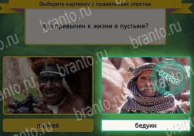 Выбирайка решения Уровень 7942