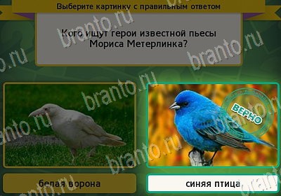 Игра Выбирайка Мой мир ответы Уровень 7947