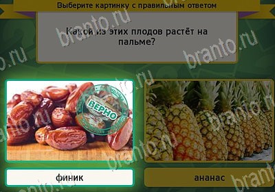 Выбирайка ответы в картинках Уровень 7966