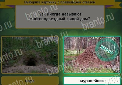 Игра Выбирайка ответы Уровень 7967