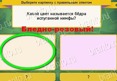 Выбирайка игра подсказки Уровень 7974