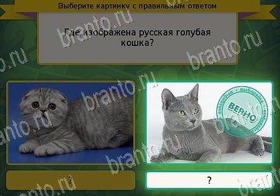 Игра Выбирайка Одноклассники подсказки Уровень 7978