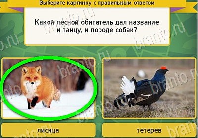 игра Выбирайка Мой мир ответ на Уровень 7980