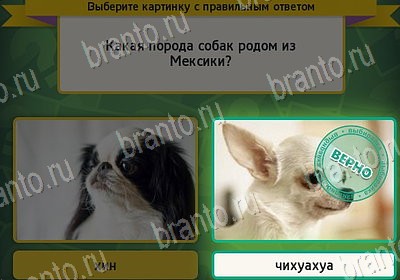 Подсказки на игру Выбирайка Уровень 7982