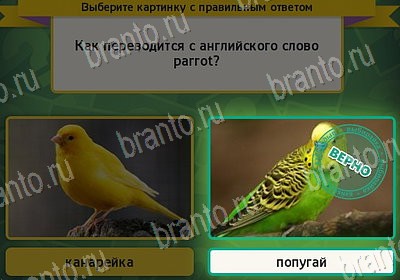 Решения на игру Выбирайка Уровень 7983