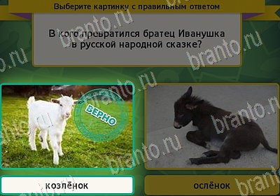 Выбирайка игра ответы в одноклассниках Уровень 7987