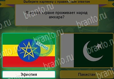 решебник на игру Выбирайка Уровень 7991