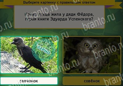 Выбирайка игра подсказки Уровень 8004
