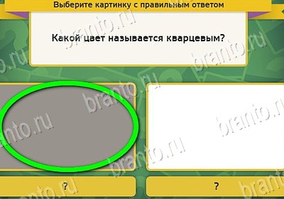 игра Выбирайка ответ на Уровень 8020