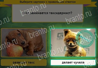 Выбирайка игра ответы Уровень 8023