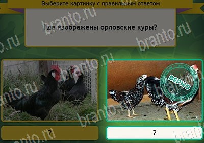 Выбирайка ответы в картинках Уровень 8036