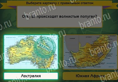 Помощь на игру ВК Выбирайка Уровень 8044