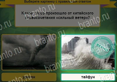 Игра Выбирайка ответы Уровень 8057