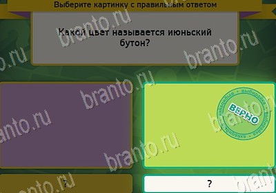 Игра Выбирайка Одноклассники подсказки Уровень 8068