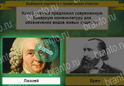 Подсказки на игру Выбирайка Уровень 8072
