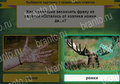 решебник на игру Выбирайка Уровень 8081