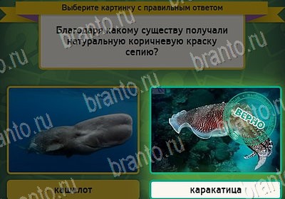 Выбирайка игра ответы Уровень 8083