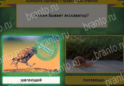 Игра Выбирайка подсказки Уровень 8088