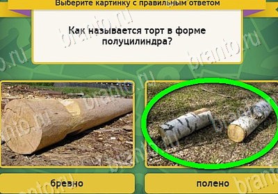 Выбирайка ответы в картинках Уровень 8096