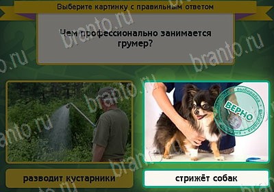 Выбирайка ответы в картинках Уровень 8126