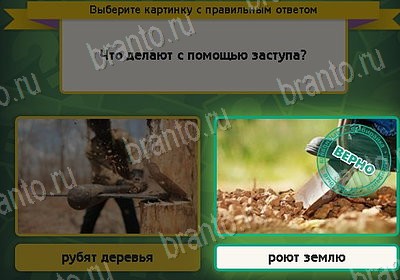 игра Выбирайка Мой мир ответ на Уровень 8130