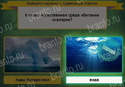 решебник на игру Выбирайка Уровень 8151