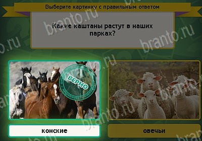 Выбирайка игра подсказки Уровень 8154